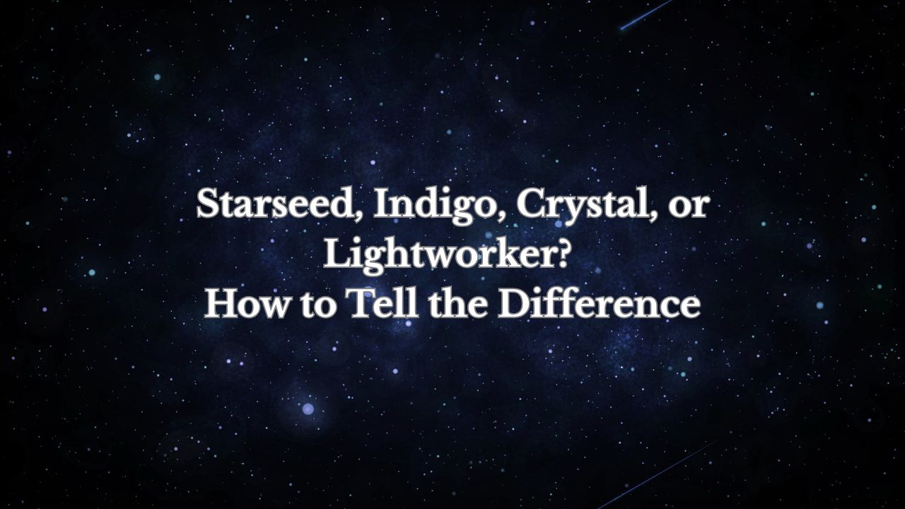 Starseed business image in Dallas, Texas